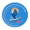 به وجد آمدن برد پیت از لیونل مسی