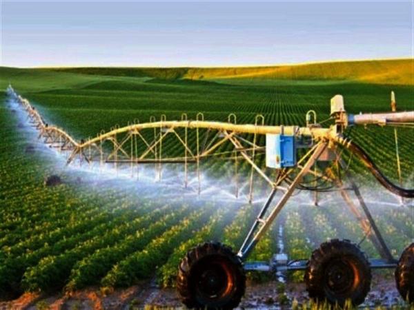 تجهیز بیش از ۴۰ درصد زمین‌های کشاورزی زنجان به سامانه‌های نوین آبیاری