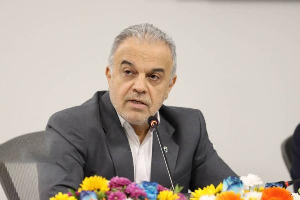 معاون ارزی بانک مرکزی: پیش فروش ارز در جهت ایجاد ثبات در بازار است