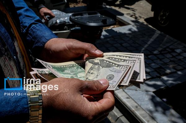 واردکنندگان ۱۲۰ میلیون دلار خریداری کردند/ثبات نرخ ارز در بازار ارز تجاری