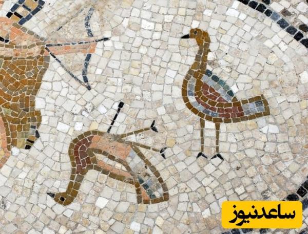 کشف بقایای «فست‌فود» روم باستان در یک زباله‌دانی 2 هزارساله