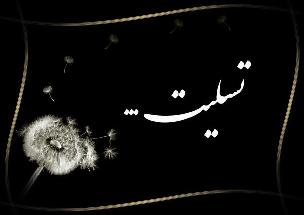  پیام تسلیت فدراسیون کوهنوردی ارمنستان در پی شهادت دو کوهنورد ایرانی در حملات رژیم صهیونیستی 