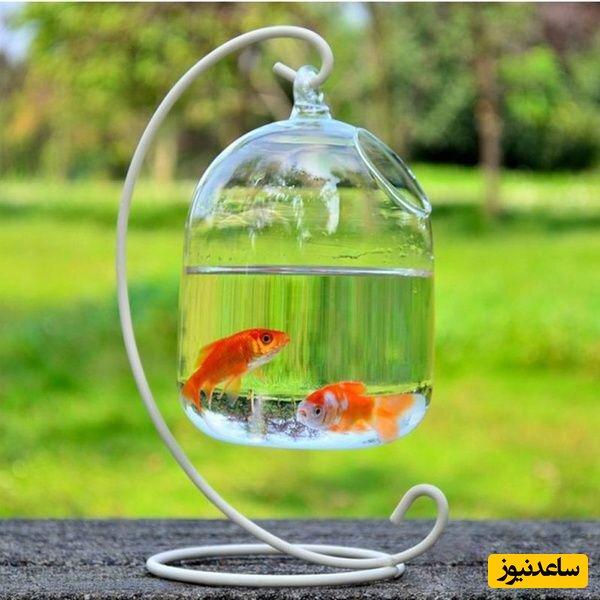 ایده خلاقانه و بدون هزینه در تزئین تُنگ ماهی+ویدیو/ با یه ذره خلاقیت و سلیقه تُنگ قدیمی رو اینجوری زیباتر کن😍