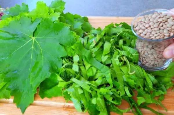 طرز تهیه ناهار سریع و خوشمزه با برگ انگور و عدس