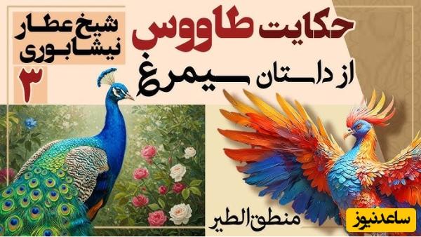 داستان‌های کوتاه و زیبایی که باید بشنوید/ منطق الطیر عطار، بخش 3؛ شکوه و زینت خیره‌کننده طاووس و دانش هُدهُد/ حکایت رانده شدن آدم از بهشت