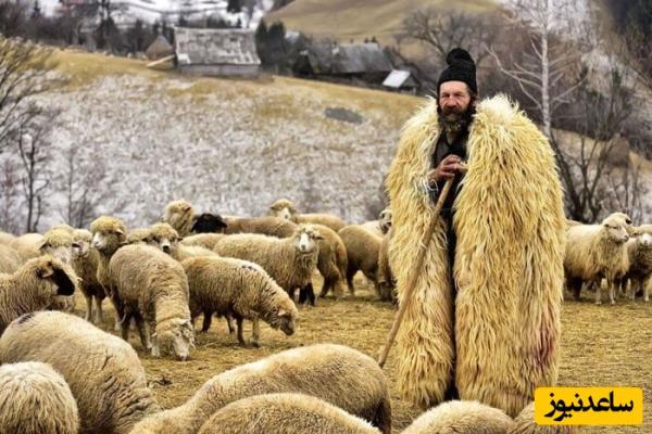 خلاقیت تحسین‌برانگیز و خنده‌دار چوپان ایرانی در تبدیل غار کوه به آغل حیوانات حماسه آفرید/ اُسکار معماری رو باید میدادن به ایشون😂