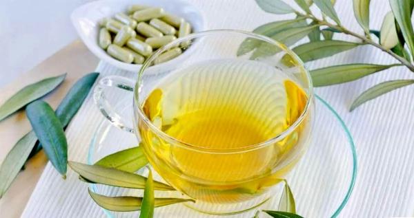   گیاهان دارویی برای فشار خون بالا/ یک راه طبیعی برای سلامتی قلب 