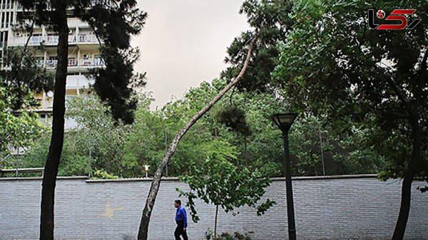  وزش باد شدید در راه تهران 