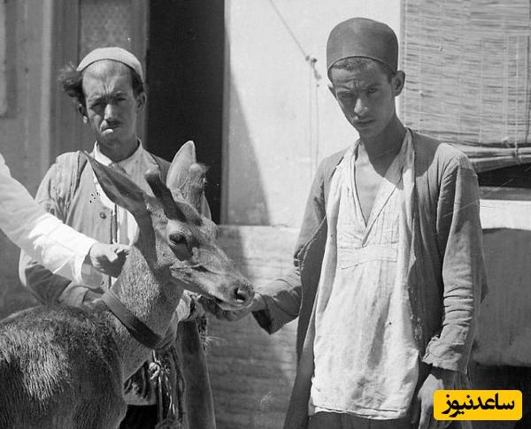 سفر به عصر قاجار؛ از عکس یادگاری با گوزن تا خرمن‌کوبی با الاغ+ عکس
