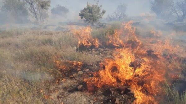 شهرک‌نشینان مزارع فلسطینی‌ها را در نابلس به آتش کشیدند + ویدئو