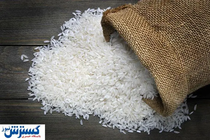  قیمت برنج در بازار ۱۴۰۴ افسار پاره کرد + عکس 
