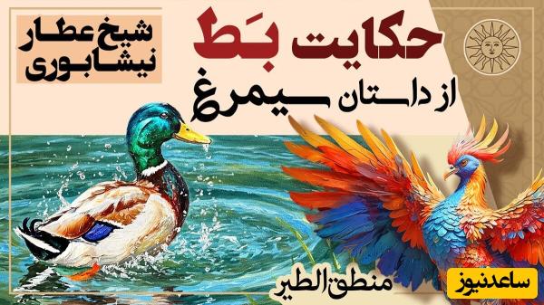 داستانهای کوتاه و زیبایی که باید بشنوید/ منطق الطیر عطار، بخش 4؛ حکایت مجذوب کننده مُرغابی و مرد دیوانه