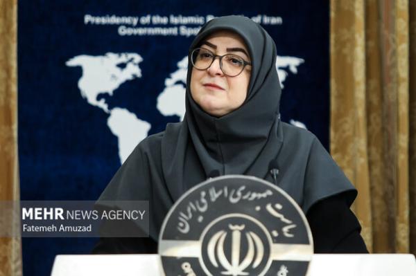 سخنگوی دولت: «خیمه هنر» به افزایش تاب‌آوری کمک می‌کند