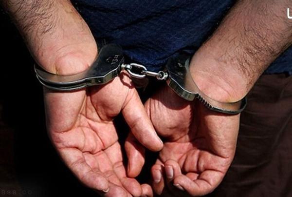 دستگیری ۱۱۵ نفر برای تبلیغ علیه نظام در کرمانشاه/ بازداشت جاسوس اروپایی