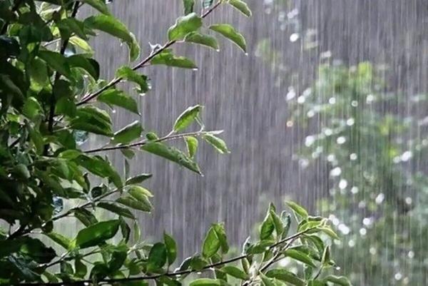 رگبار پراکنده و کاهش دما در شمال کشور؛ طوفان گردوخاک در راه استان‌های شرقی و مرکزی 