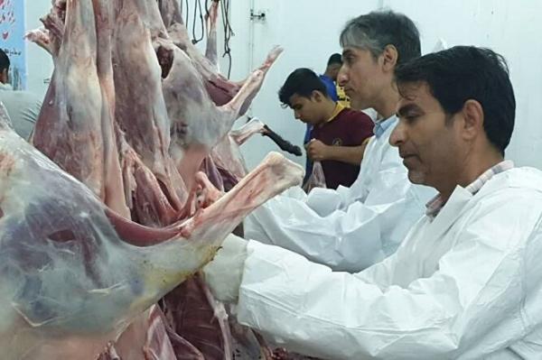 ذبح دام فقط در مراکز مجاز ممکن است