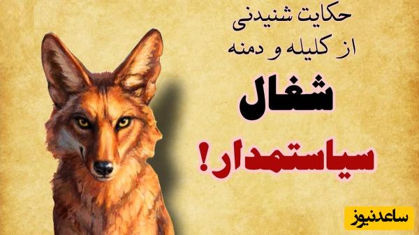 حکایت های خواندنی/ شغال سیاستمدار؛ جذابترین داستان کلیله و دمنه/ شغالی که مار و انسان را به جان هم انداخت و خودش کناری ایستاد و تماشا کرد