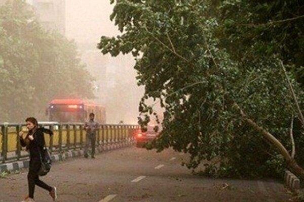 هشدار درباره وقوع توفان‌های شدید با توجه به تغییرات اقلیمی در تهران