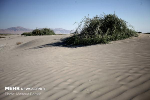 اصفهان با بحران بیابان‌زایی می‌جنگد؛ بودجه ۳۰ میلیاردی کافی نیست
