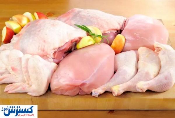 برخورد قاطع دولت با گران فروشی مرغ کلید خورد