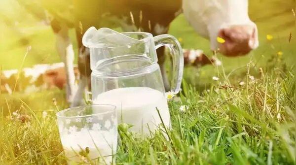 پنیر دوست قلب ؟ مطالعه جدید می‌گوید: بله، اگر نوع درستش را بخورید!