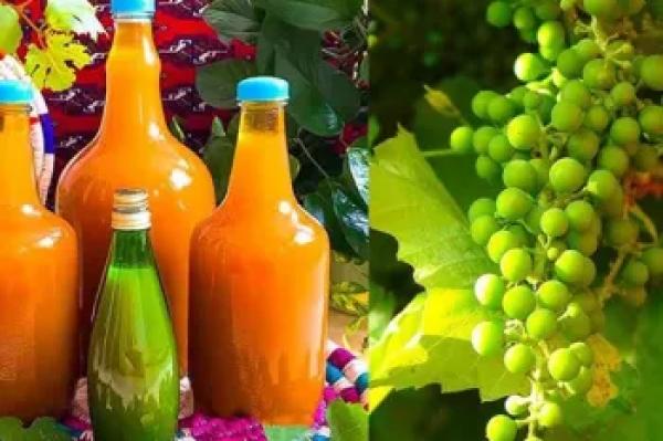 طرز تهیه آبغوره خانگی سالم ، بهداشتی و نکات مهم نگهداری آن!