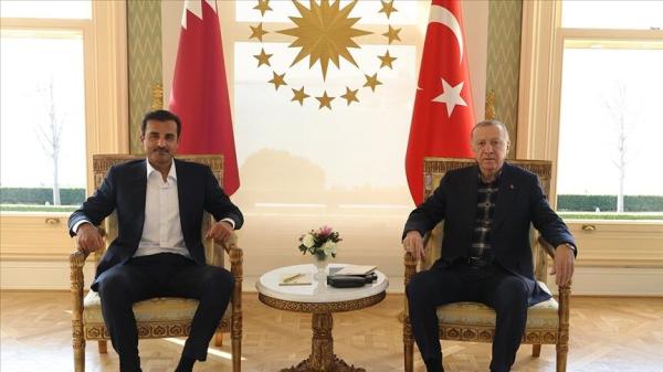 گفت‌وگوی رهبران ترکیه و قطر درباره تجاوزات رژیم صهیونیستی به ایران