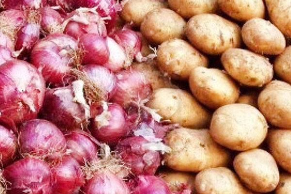جدیدترین وضعیت تامین انواع صیفی در کشور؛ سیب زمینی و پیاز چقدر ارزان شد؟