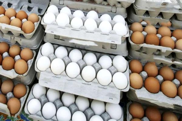  گرمای هوا قیمت تخم‌مرغ را کاهش داد 