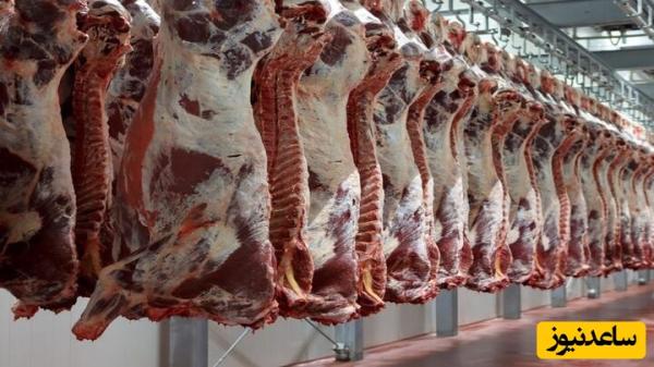 عرضه گوشت تنظیم بازار ادامه دارد/ نظارت بر قیمت گوشت قرمز در بازار