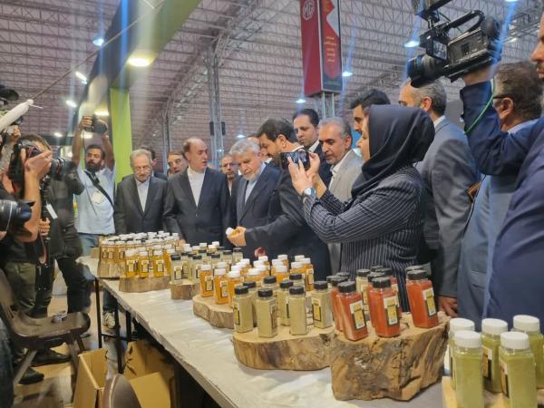 نمایشگاه تخصصی گردشگری سلامت در همدان گشایش یافت