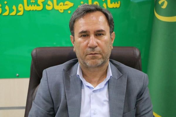  رییس سازمان جهاد کشاورزی لرستان: تأمین امنیت غذایی مردم اولویت و جهاد امروز ماست / نمی گذاریم در سفره مردم خللی ایجاد شود 