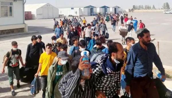  طرح ضربتی جمع آوری اتباع غیر مجاز در دامغان 