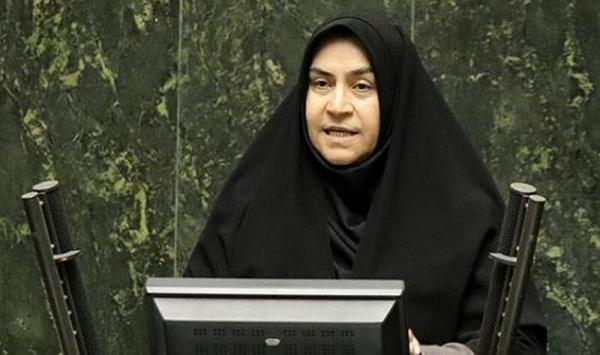 مدنی زاده گزینه مناسبی برای تصدی وزارت اقتصاد است