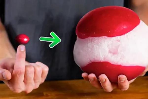 وقتی شیرینی و آبنبات ها رو بپزی / آزمایش با پاستیل و اسمارتیز منجمد!