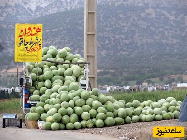 خلاقیت مشاغل؛ پاسخ غافلگیرکننده و دندان‌شکن هندوانه‌فروش باهوش در برابر گلایه مشتری ناراضی+ویدیو/ تو باید وکیل میشدی حیف این همه استعداد🤣