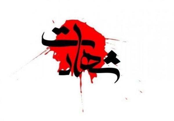  شهیدان پایگاه شکاری تبریز/ عکس 