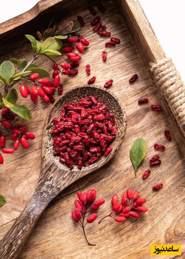 روش صحیح نگهداری زرشک خشک؛ جلوگیری از سیاه شدن و آفت‌زدگی با 3 راهکار طلایی