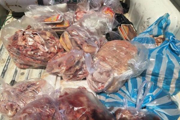بیش از یک تُن مواد غذایی و گوشت فاسد در زابل جمع‌آوری شد