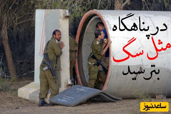 وضعیت این روزهای صهیونیست‌ها زیر ذره‌بین؛ زندگی در کنار سگ‌ها در پناهگاه!+عکس