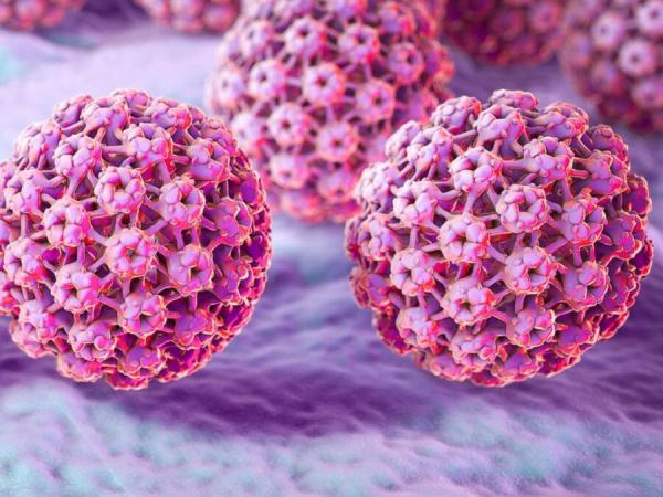 آیا ویروس HPV از طریق دستشویی و استخر منتقل می‌شود ؟