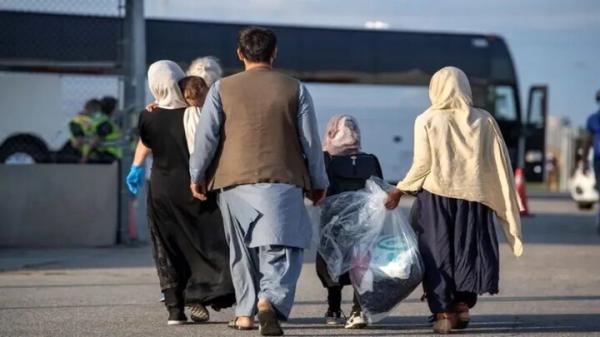 جمع آوری ۷۱۰ نفر اتباع غیر مجاز در ساوه