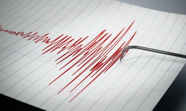  زلزله ۴.۱ ریشتری اندوهجرد شهداد(کرمان) خسارتی نداشت 