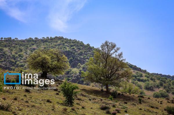 پیش‌بینی افزایش نسبی دما در چهارمحال و بختیاری