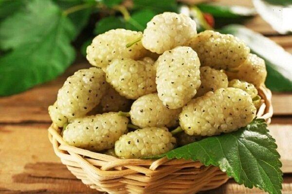 با خوردن این میوه افسرده نمی‌شوید