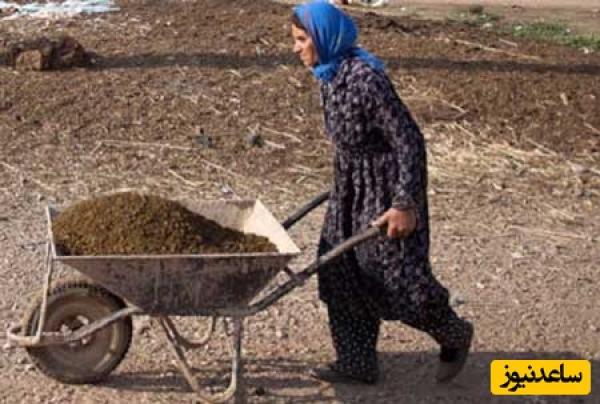 خلاقیت تحسین‌برانگیز و خنده‌دار &quot;کشاورز تبریزی&quot; در تبدیل وان حمام به باغی از بهشت حماسه آفرید/ آدم کیف میکنه از دیدن این همه زیبایی👌