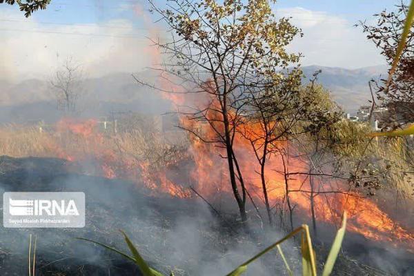 آتش‌سوزی منطقه حفاظت‌شده گلیل و سرانی خراسان شمالی مهار شد