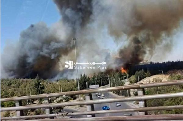  آتش سوزی در نزدیکی کاخ ریاست جمهوری سوریه/ ویدئو 
