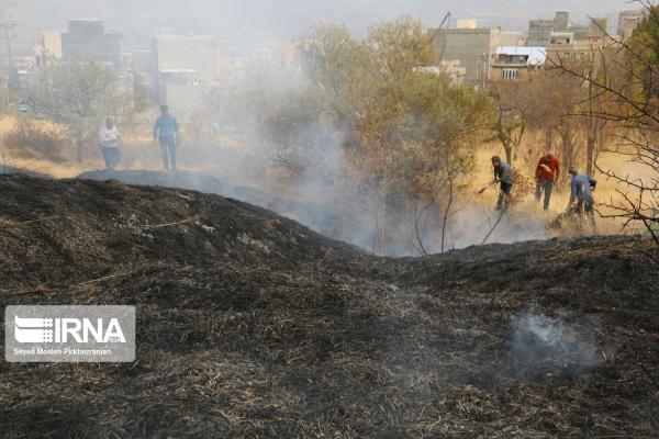 بخشی از مراتع کوه ریگ شهرستان لردگان دچار آتش‌سوزی شد