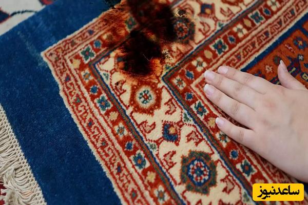 خانه‌داری یک کدبانو؛ بهترین روش‌های رفع سوختگی فرش در منزل بدون ابزارهای خاص